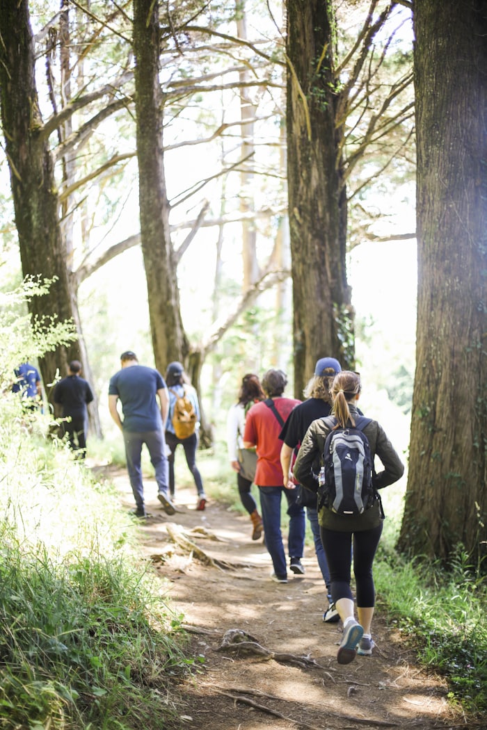 Friends hiking together on a wooded path in sunlight
