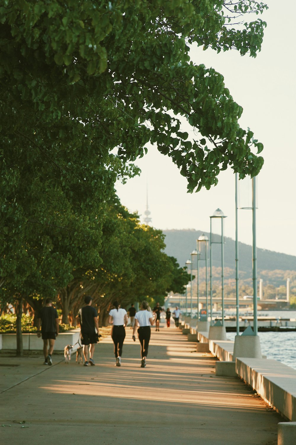 People walking and jogging on a tree-lined lakeside path at dusk