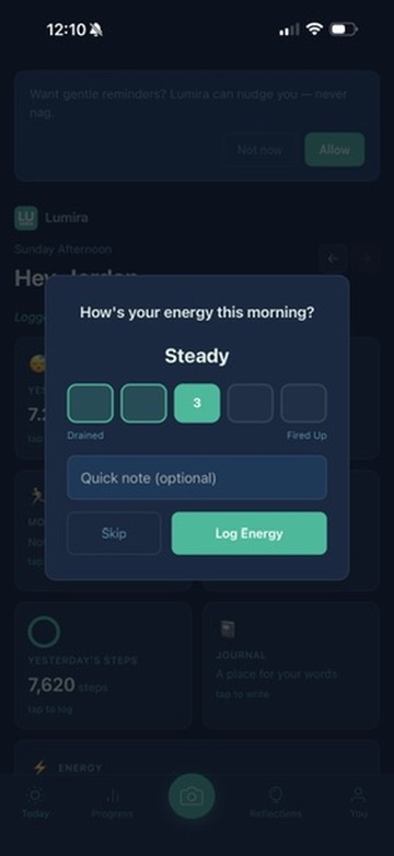The energy check-in: How's your energy this morning, with a five-point scale and optional note